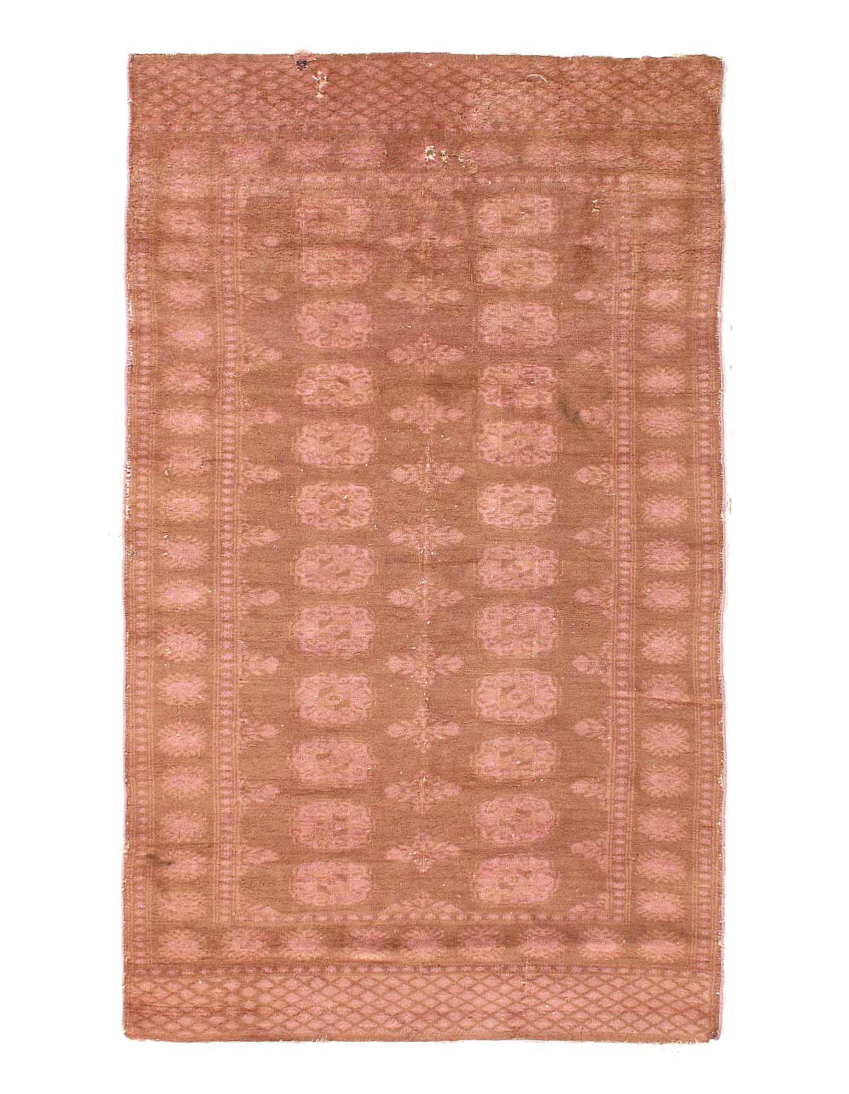 Pak Bokhara Hand-Knotted Rug 3'x 5'