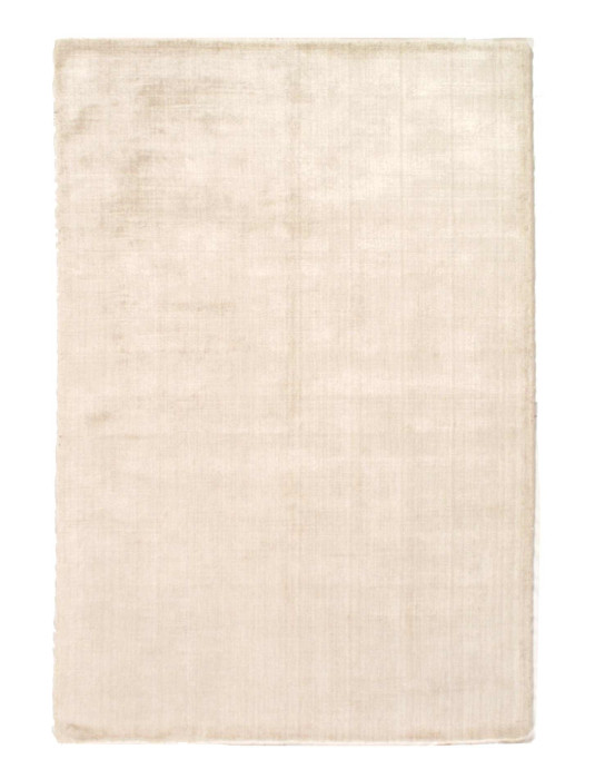 Beige color Hand knotted Modern Rug 2' X 3'